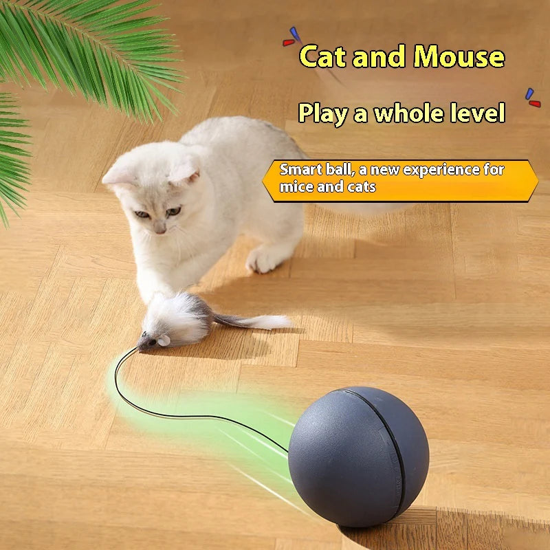 Cat Toys Mouse Teaser Ball Funny Moving Toy for Pets Cat Dog Electric Teaser Ball Automatic Intelligent Rolling Ball Pet Products