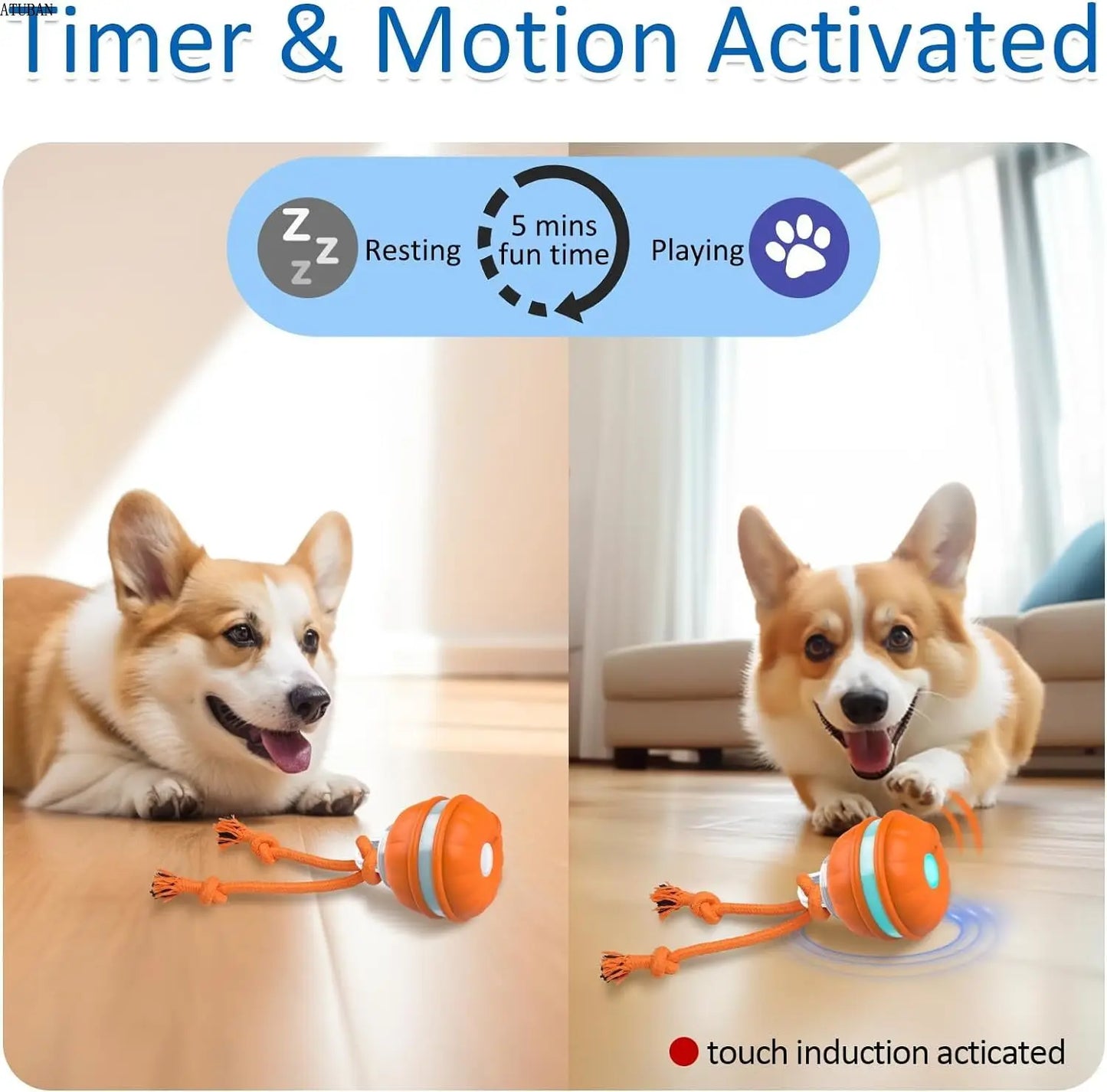 Motion-Activated Canine Play Ball