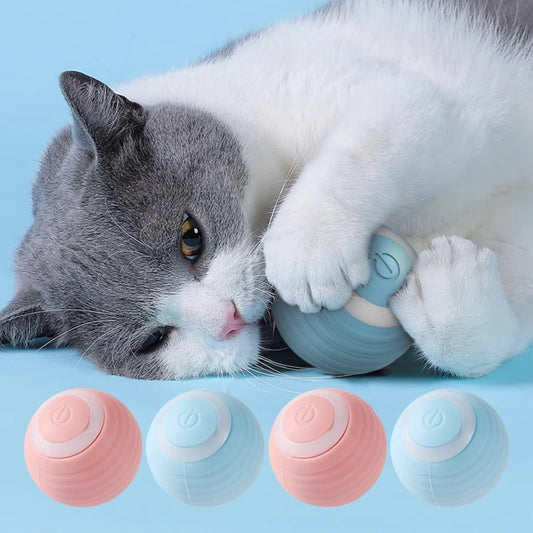  Cats Toy Interactive Ball