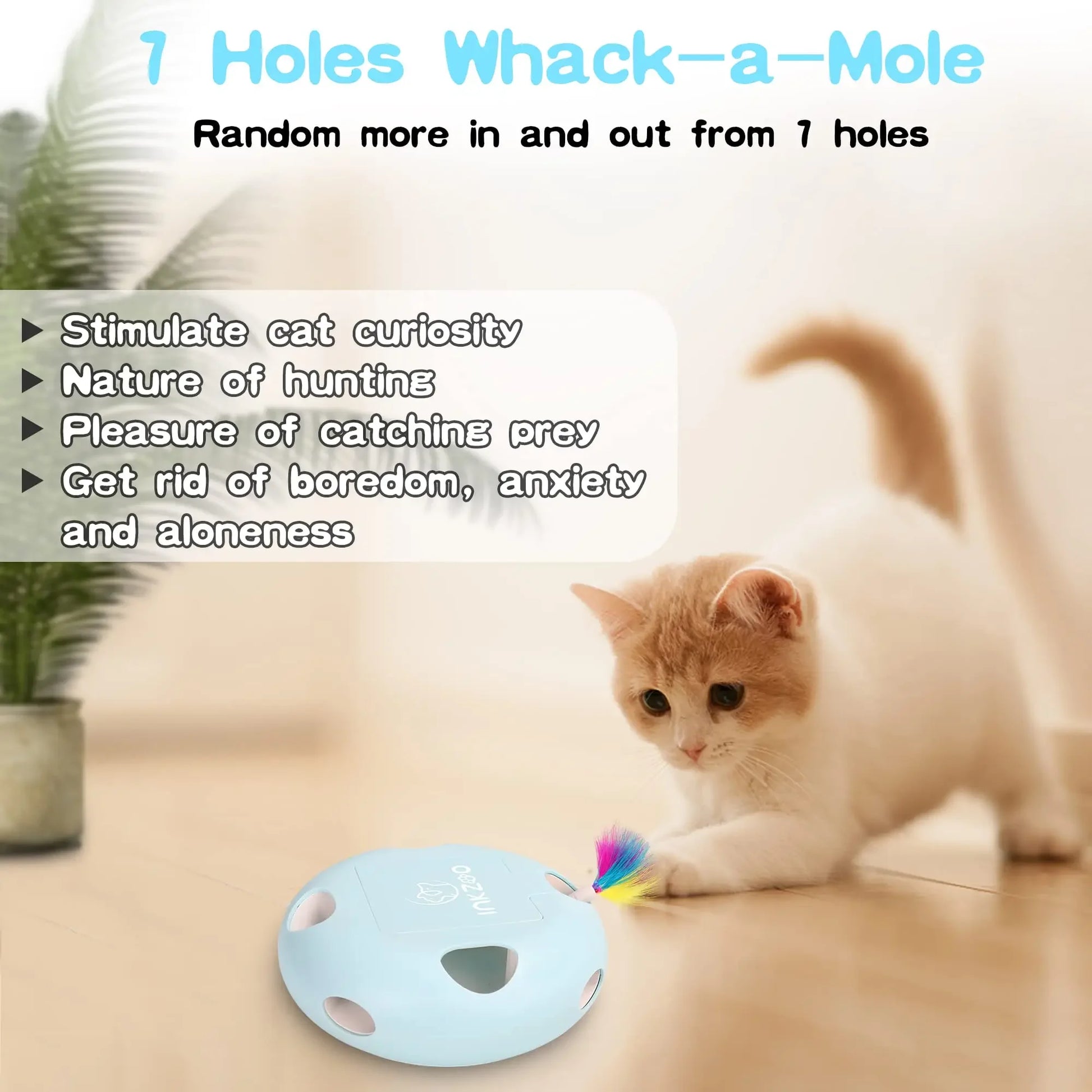 Interactive Cat Toys for Indoor Play