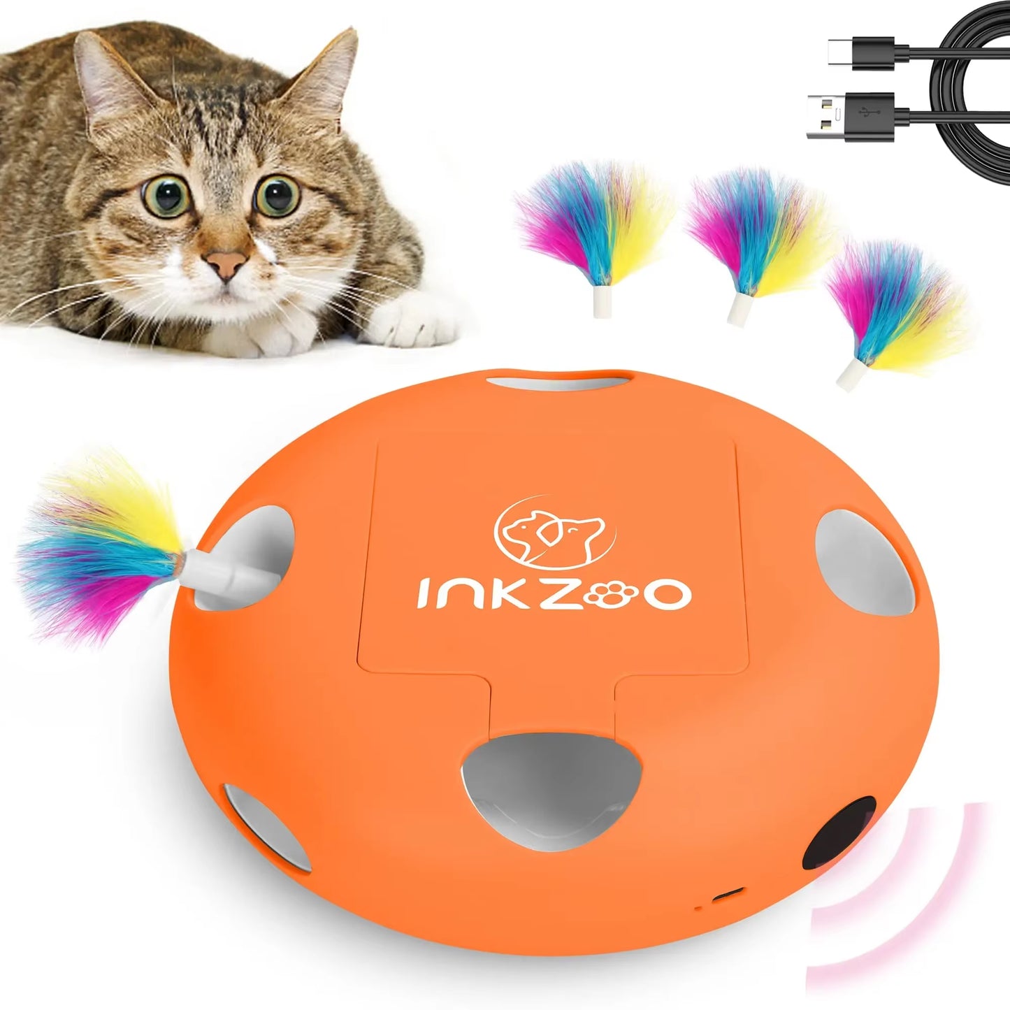 Interactive Cat Toys for Indoor Play