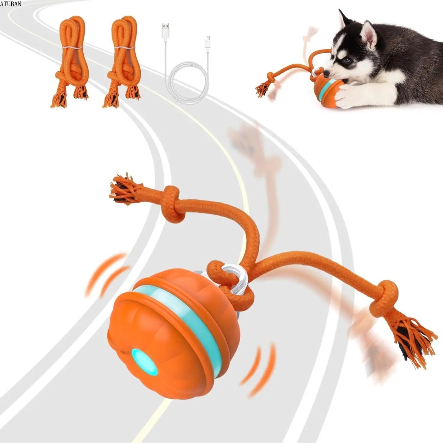 Motion-Activated Canine Play Ball